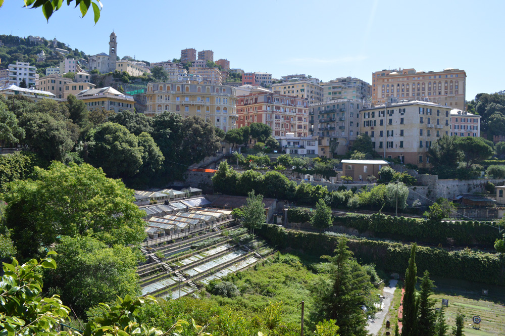 Valletta Carbonara Genova